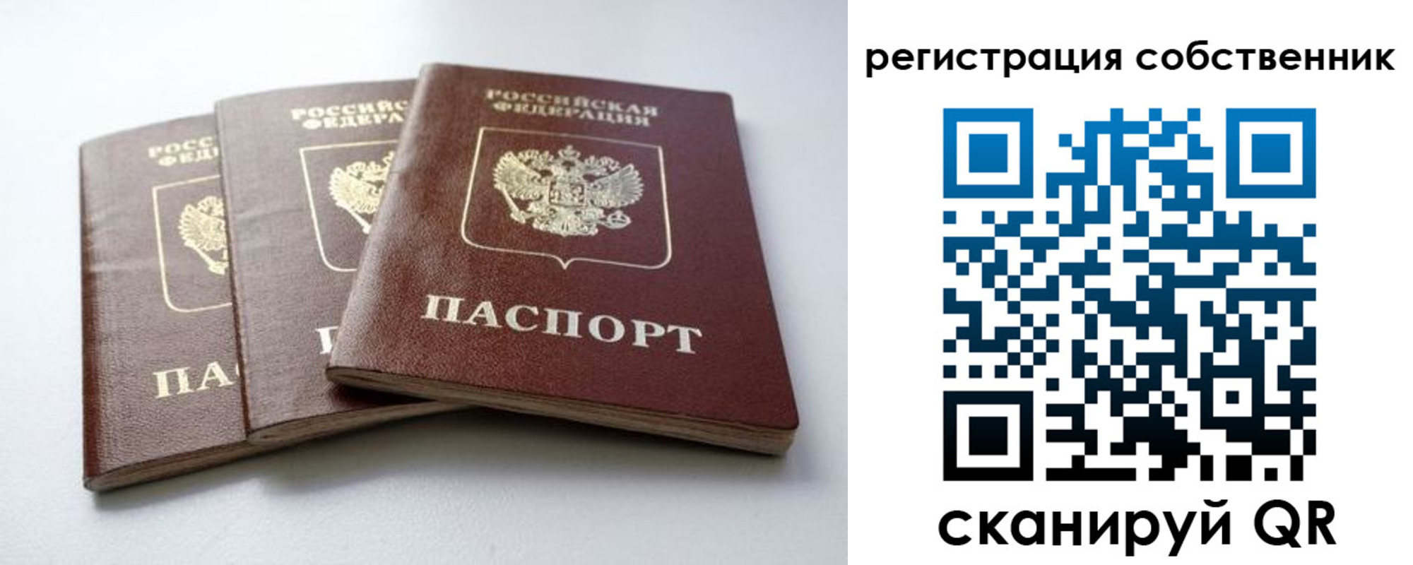 прописка для школы в Белебее